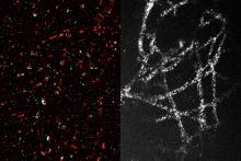 A new method makes high-resolution imaging more accessible